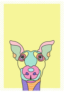  Stella