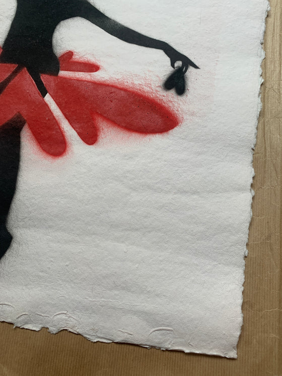 The Ballerina And The Crow
