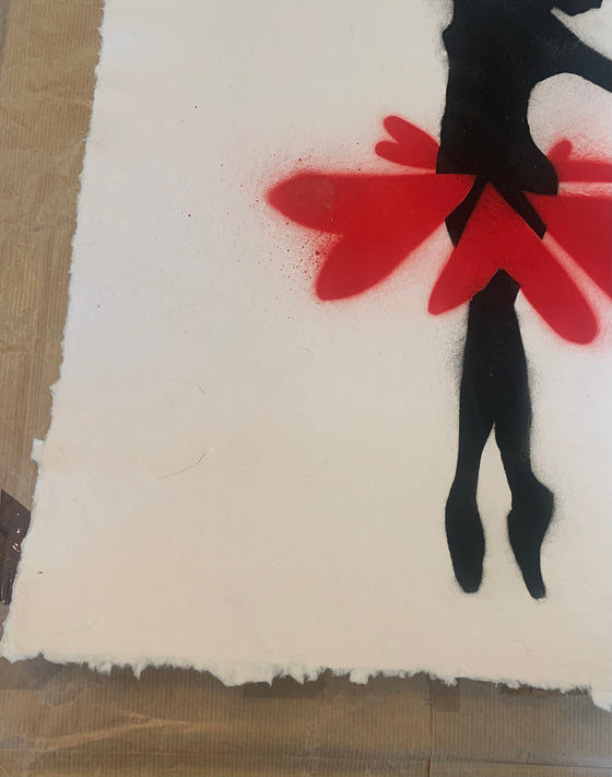 The Ballerina And The Crow