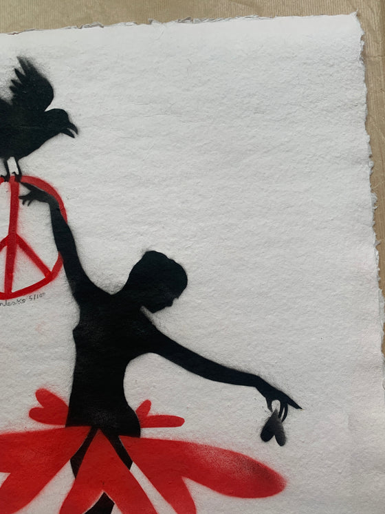 The Ballerina And The Crow