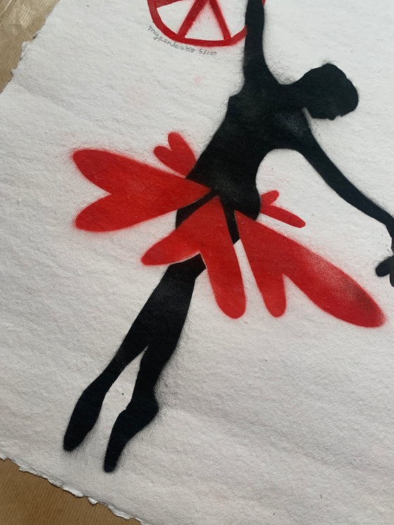 The Ballerina And The Crow