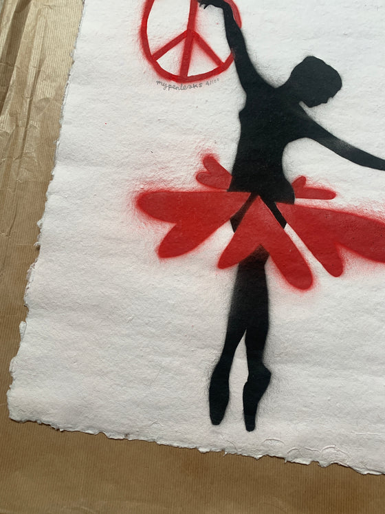 The Ballerina And The Crow