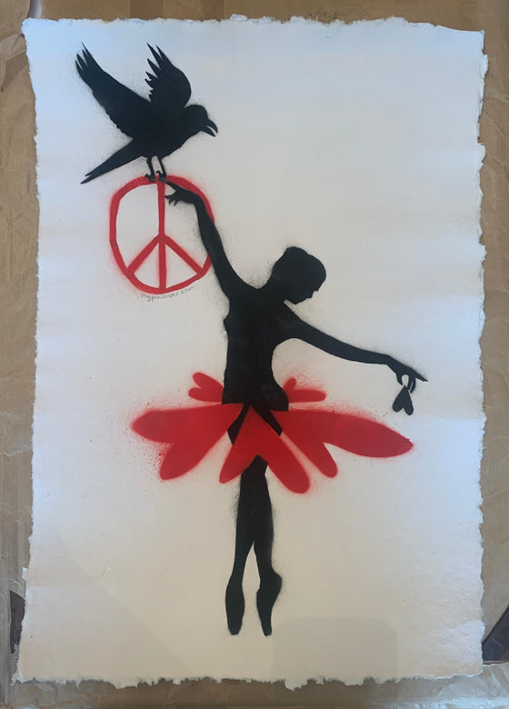 The Ballerina And The Crow