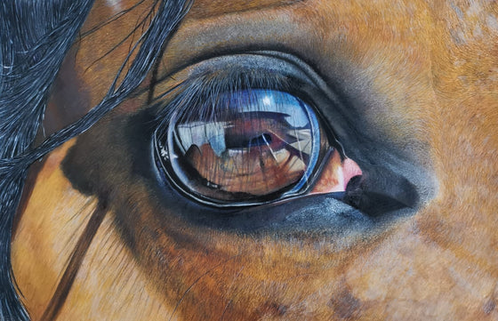 Equus original artwork