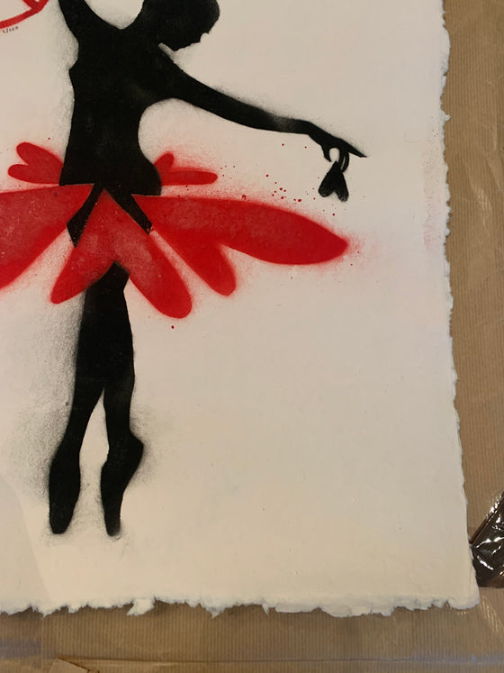 The Ballerina And The Crow
