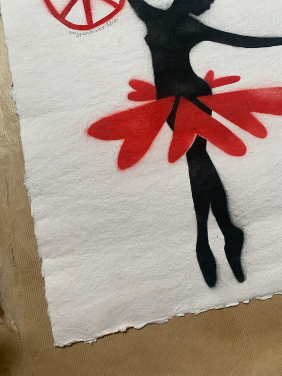 The Ballerina And The Crow
