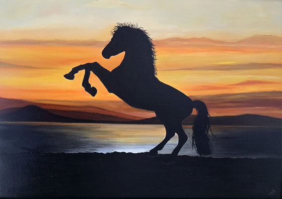 Sundance original artwork