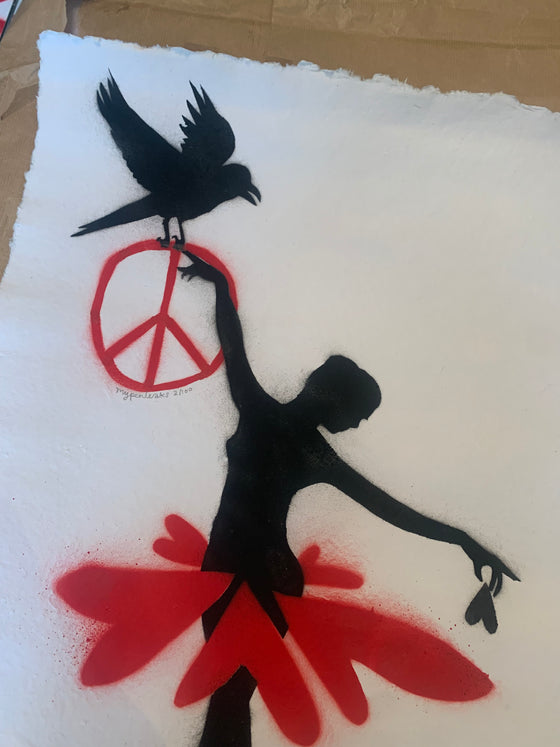 The Ballerina And The Crow
