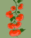 A stylized botanical illustration of a tomato vine with seven red tomatoes and green leaves on a solid sage green background.