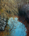 Willow Reflection