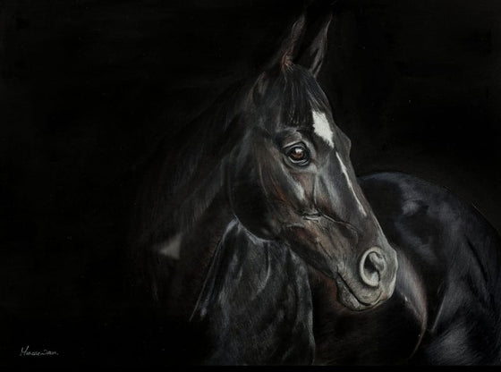 Dark Horse