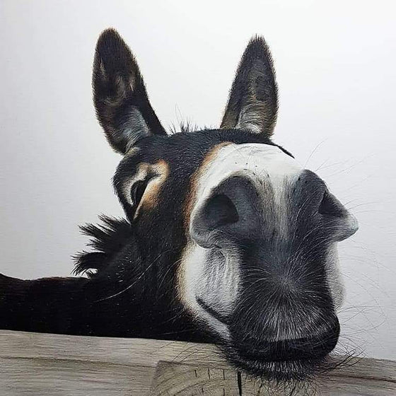 Hee Haw
